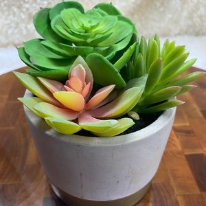 Faux Succulents, 3-4 in 3”H circular pot (3 available for individual purchase)